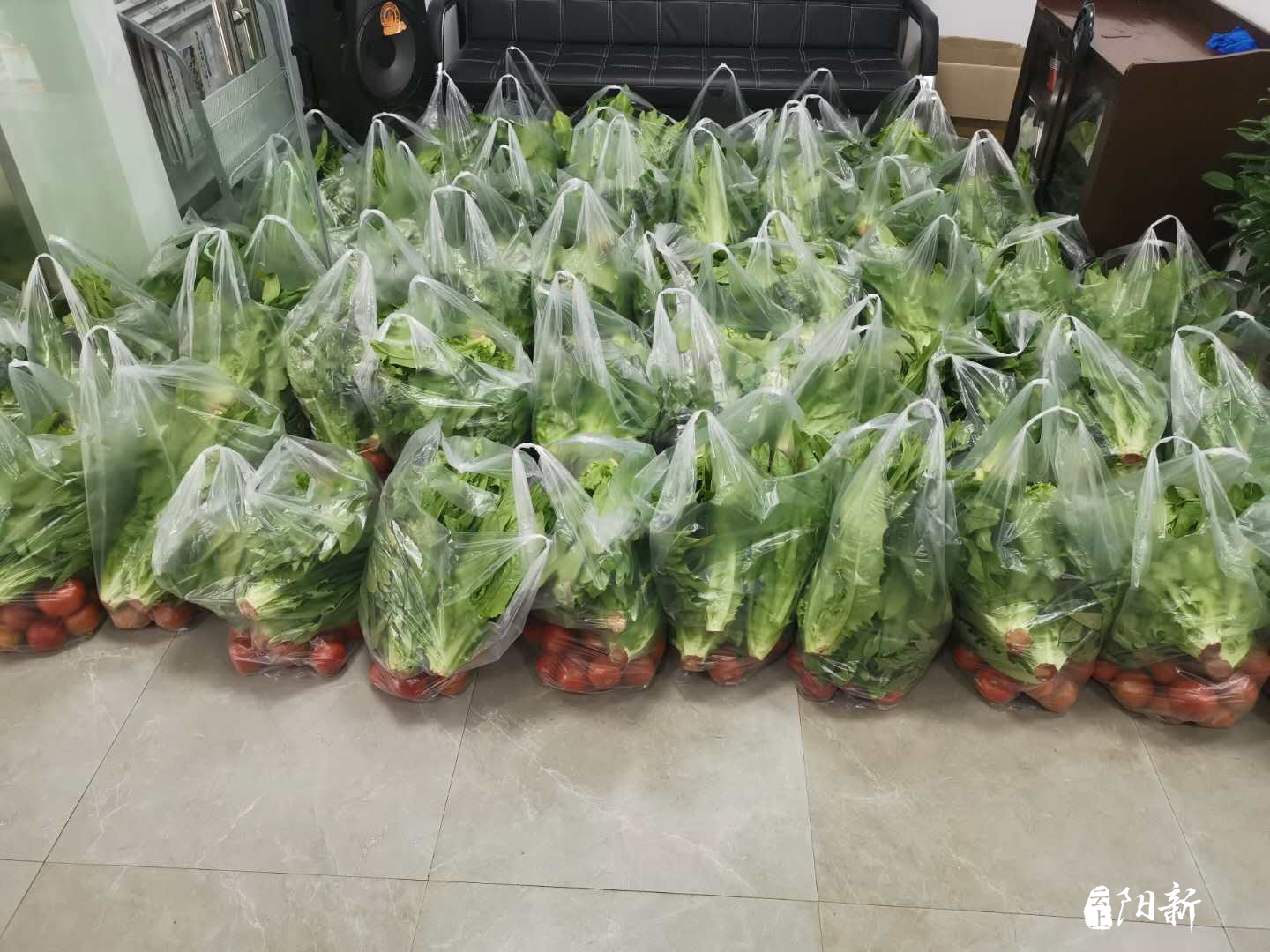 阳新隔离不隔爱新杨社区为孤寡老人送菜到家