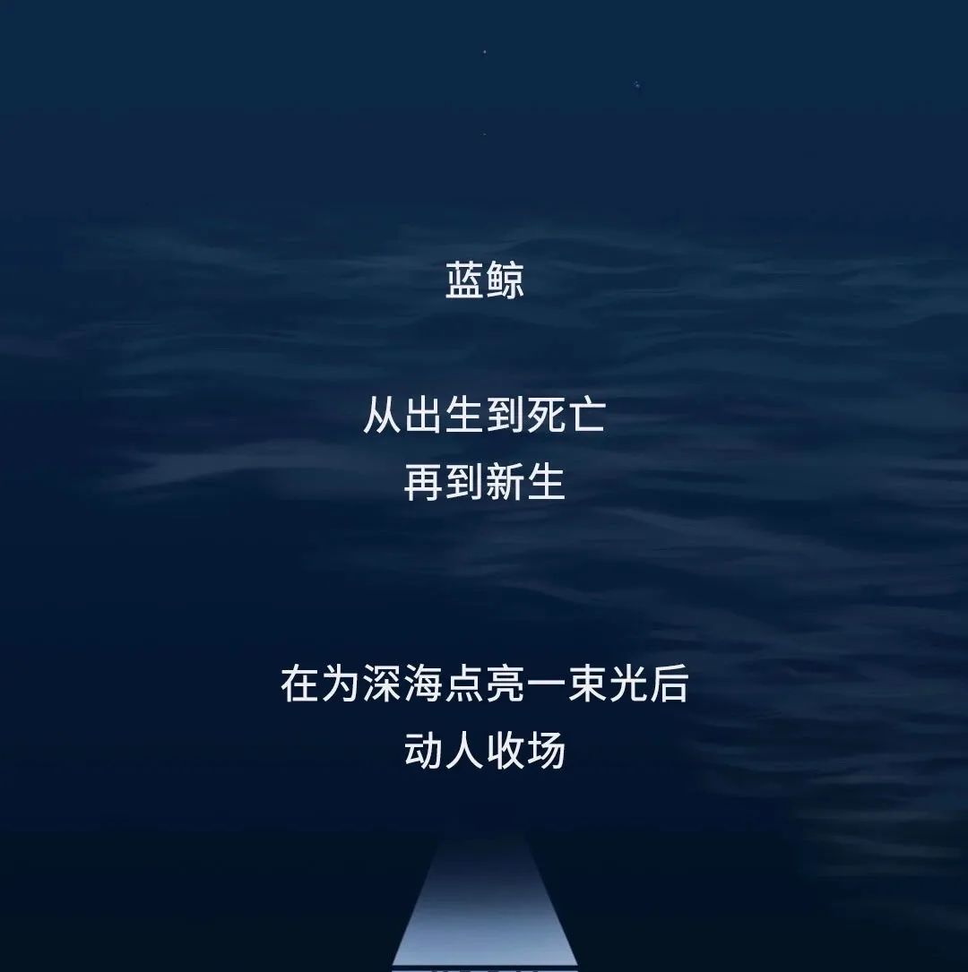 蓝鲸的一生鲸落是什么