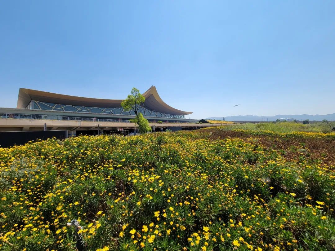 昆明机场"易畅转" 让你有专人专车式礼遇_云上阳新