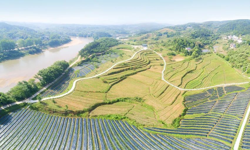 十大美丽乡村投票启动阳新县兴国镇南市村亮相请投上一票