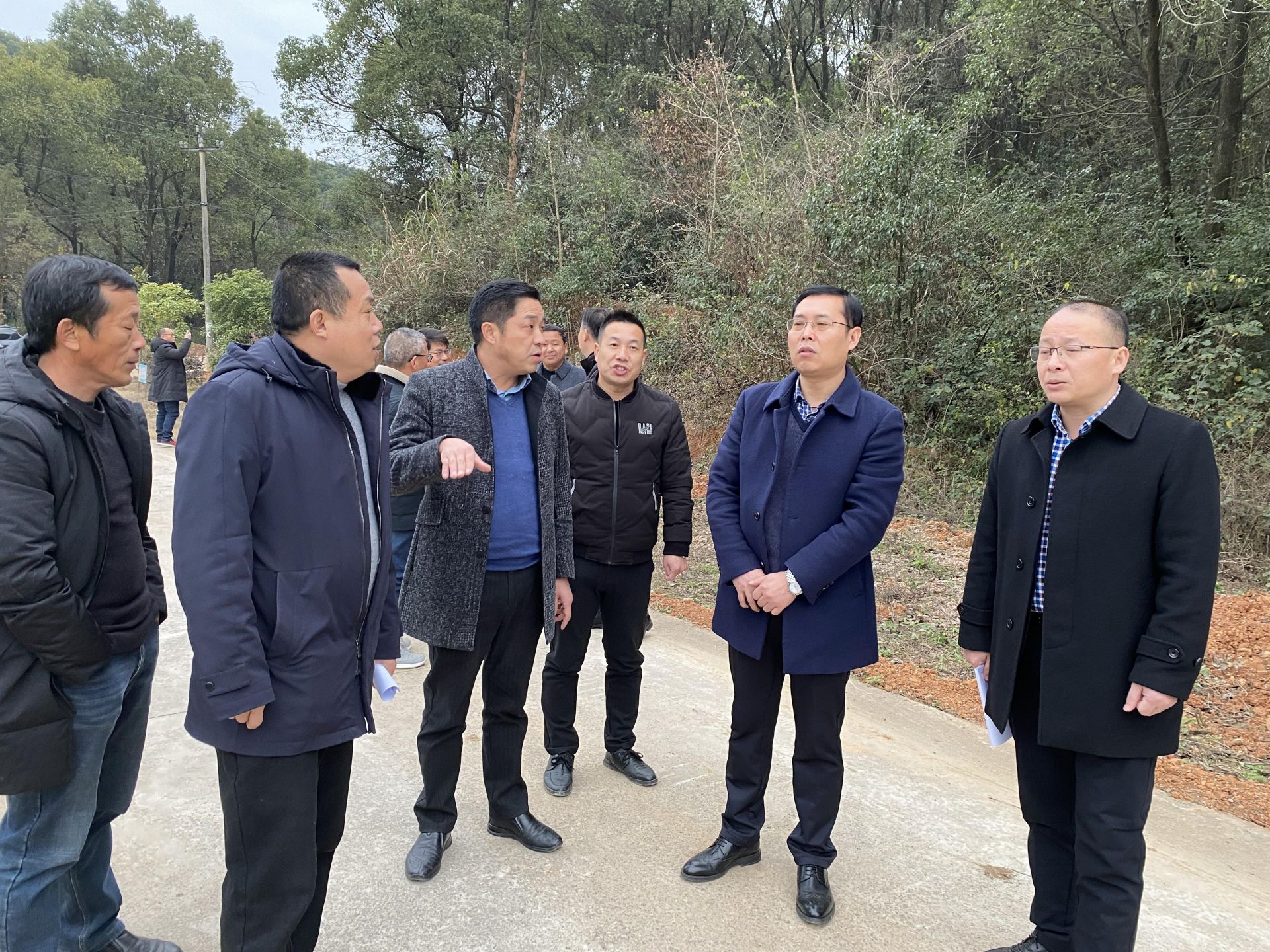 徐凌巡查河湖长制和林长制工作