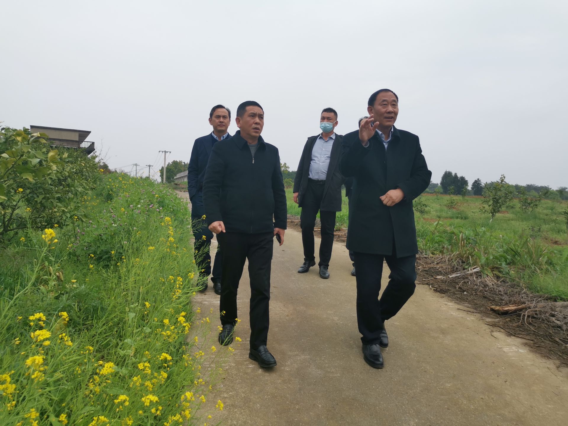 俞振华到军垦农场开展林长制巡查_云上阳新