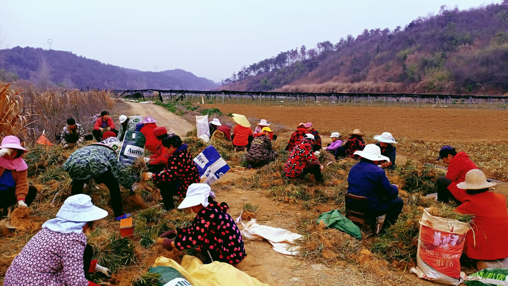 三溪鎮龍泉村:闊步前行在鄉村振興的康莊大道_雲上陽新