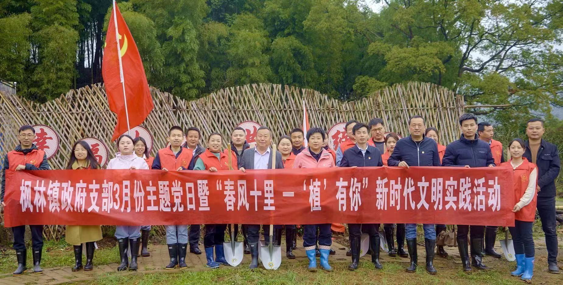 求购红枫树苗价格