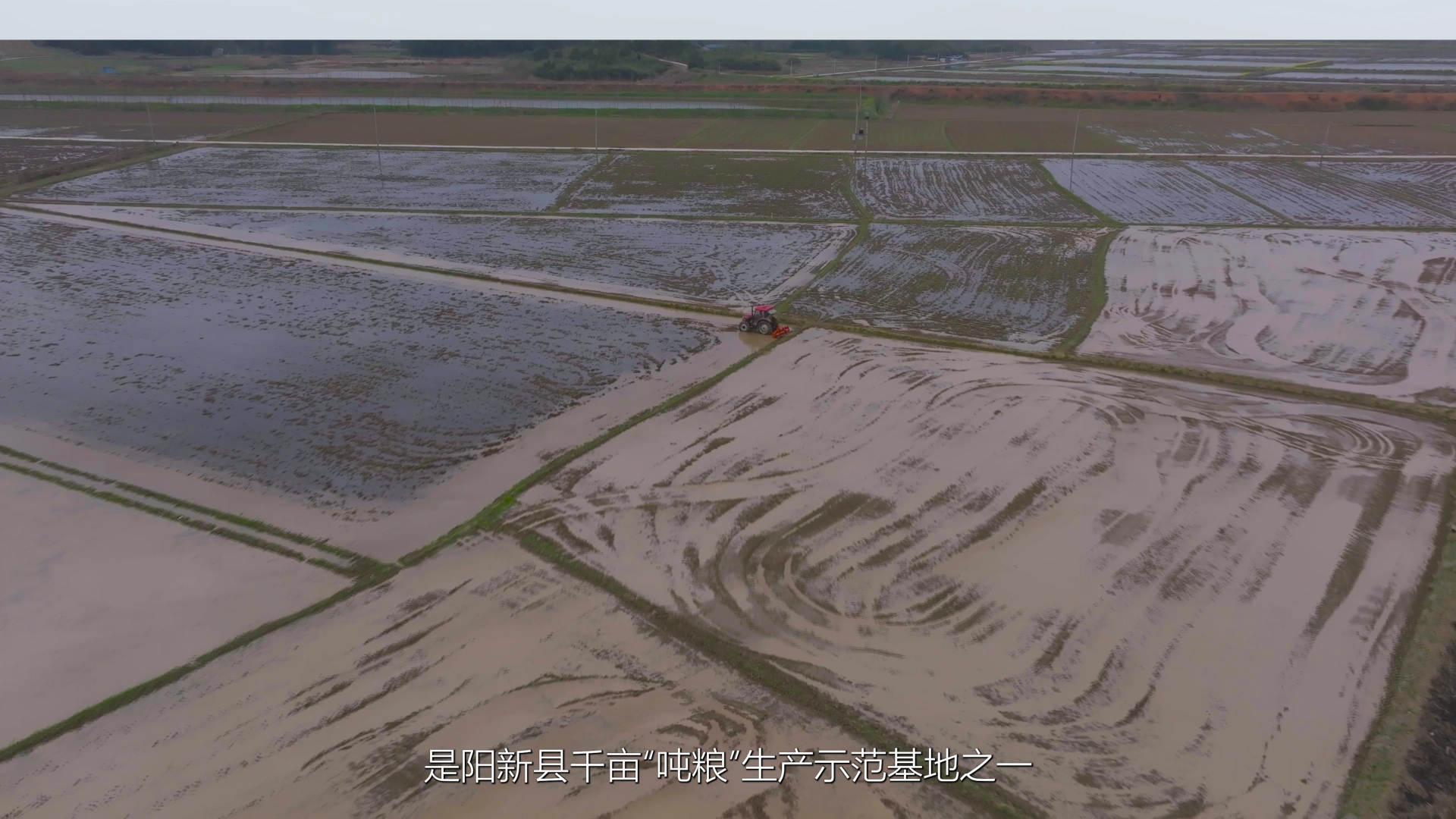 种粮大户雷小明在湖北省阳新县承包了2600亩农田,分布于军垦农场,三溪