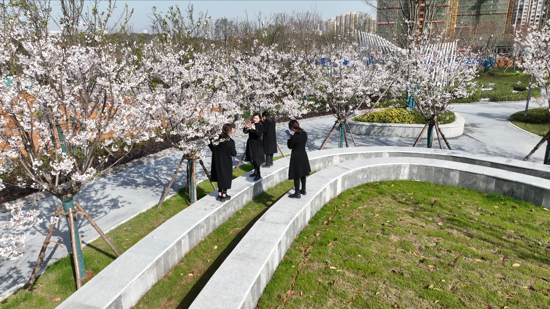 黄石阳新口袋公园上新城市颜值提升