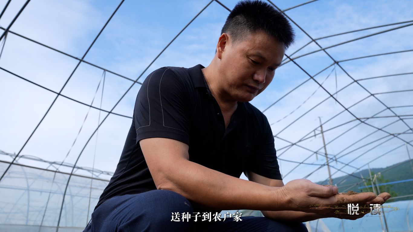 微信图片_20250902160355_997_117.jpg