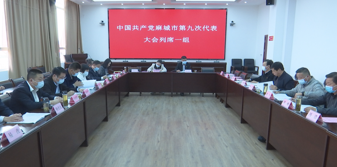 【聚焦党代会】全体代表分组讨论市委,市纪委工作报告_云上麻城
