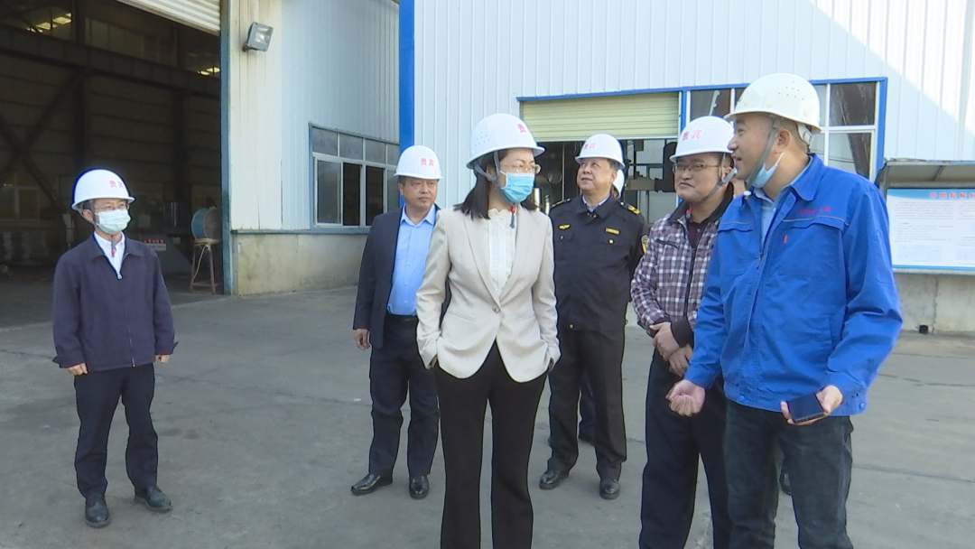 市领导督导市场监管领域安全生产工作_云上麻城