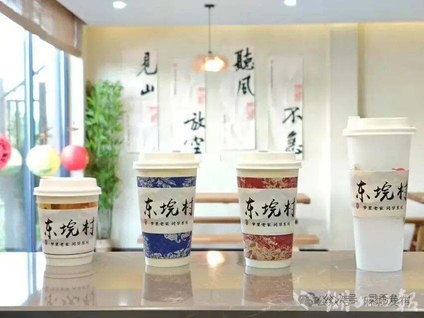 高校赋能,乡村蝶变:黄冈师范学院助力东垸(1).doc