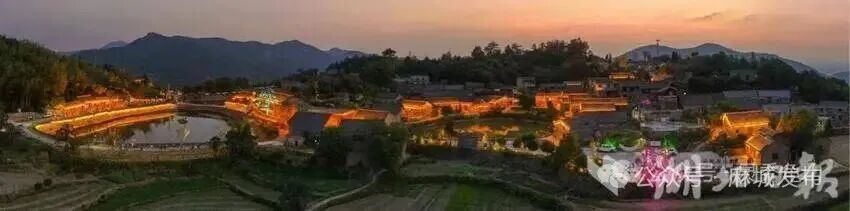 高校赋能,乡村蝶变:黄冈师范学院助力东垸(1).doc