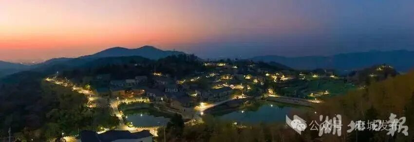 高校赋能,乡村蝶变:黄冈师范学院助力东垸(1).doc