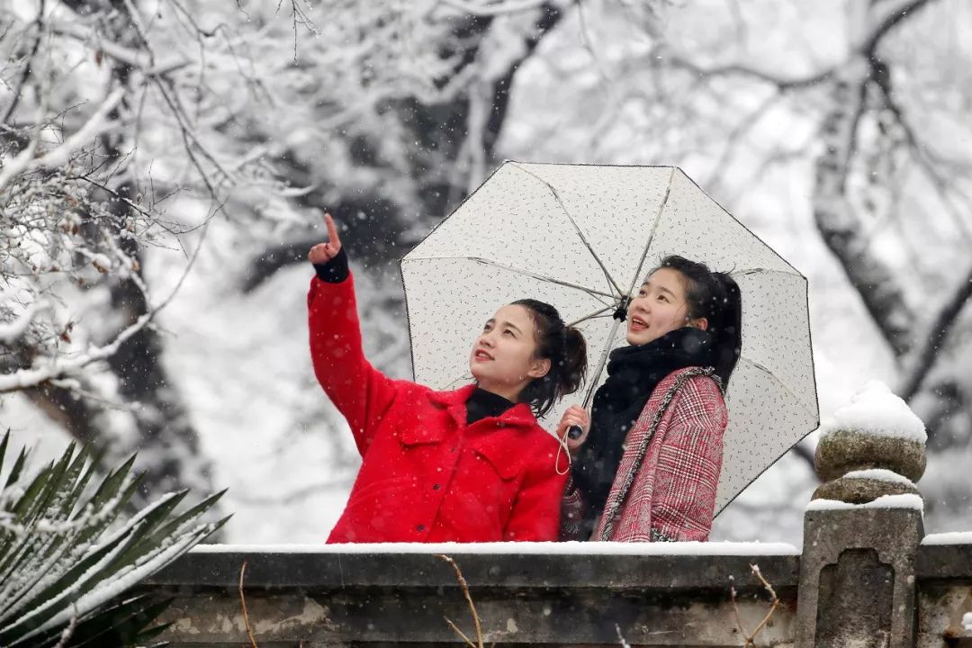 南方雪景美如画北京你怎么看