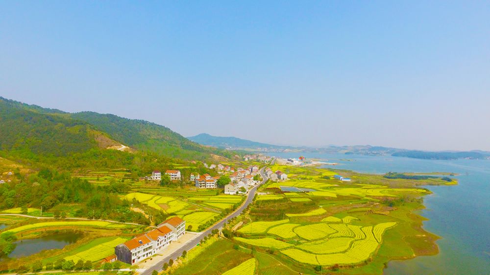 武穴市仙人湖省级湿地公园环湖路