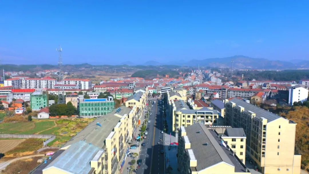 奋战一季度 勇夺开门红|武穴四望镇: 特色农业 飞地经济 双轮驱动打好