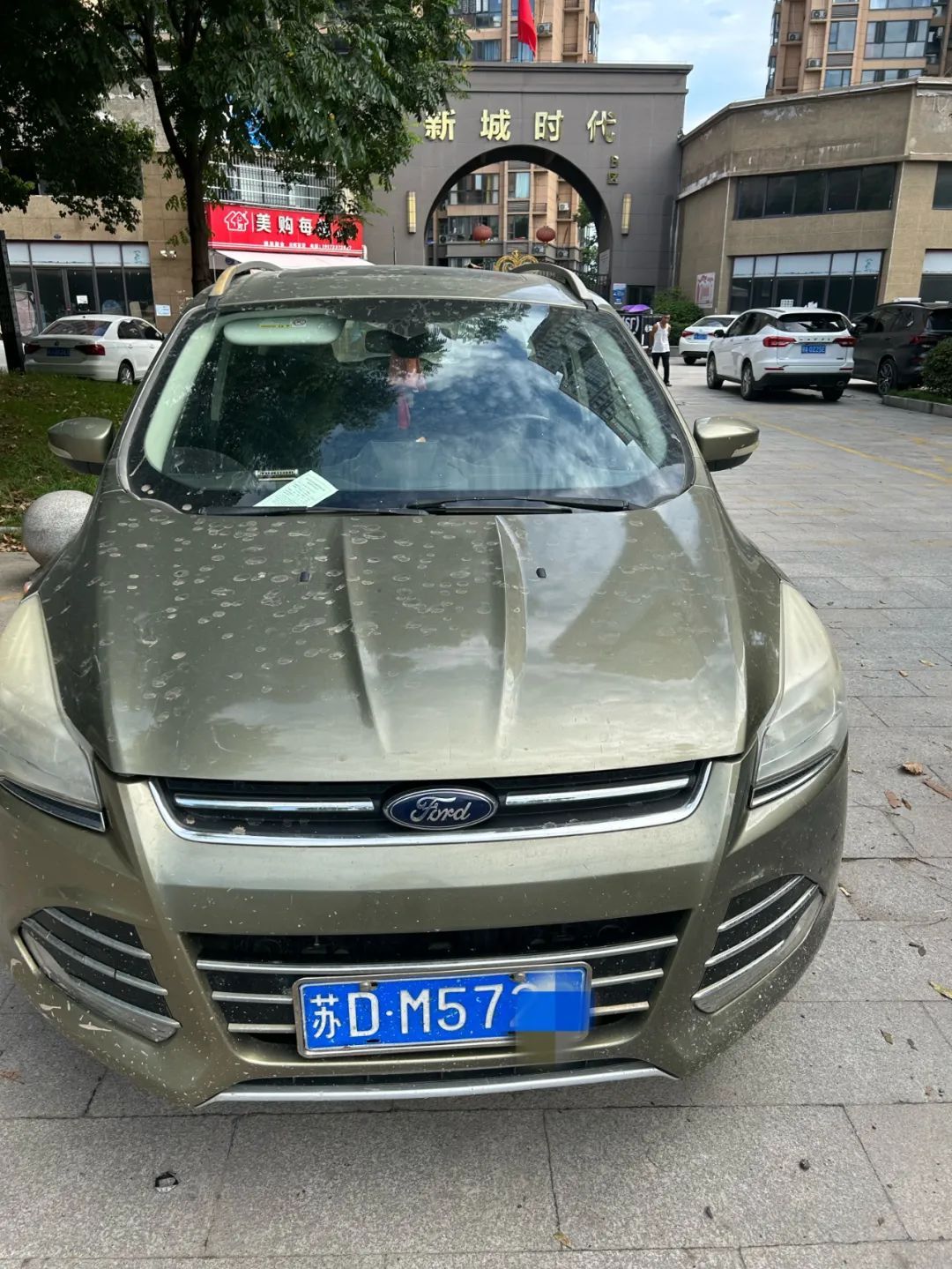 图片