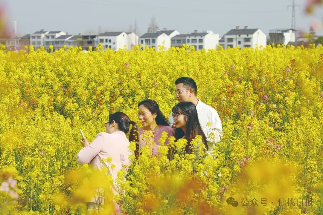 杜湖3.jpg