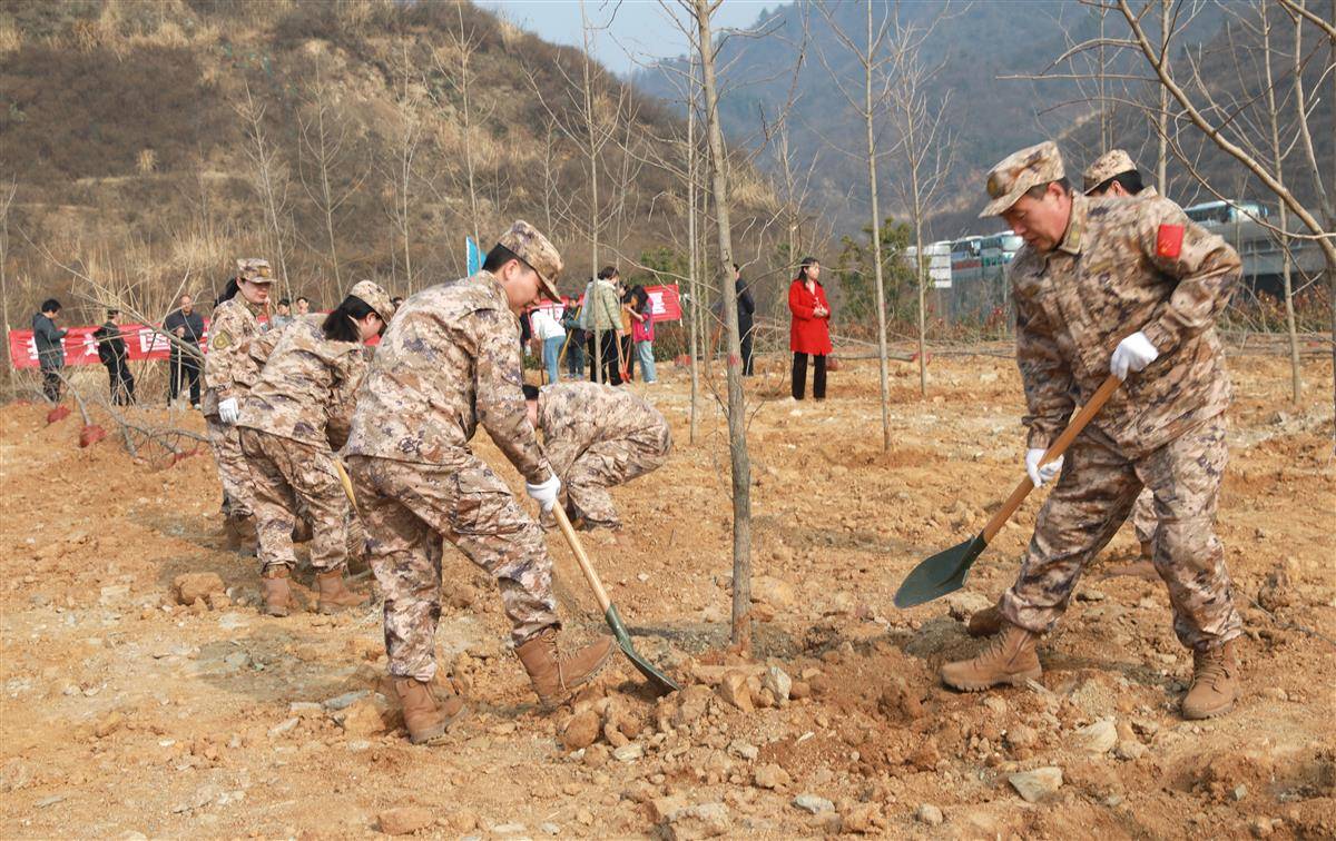 2月28日，十堰市举行义务植树活动。（十堰市林业局供图）