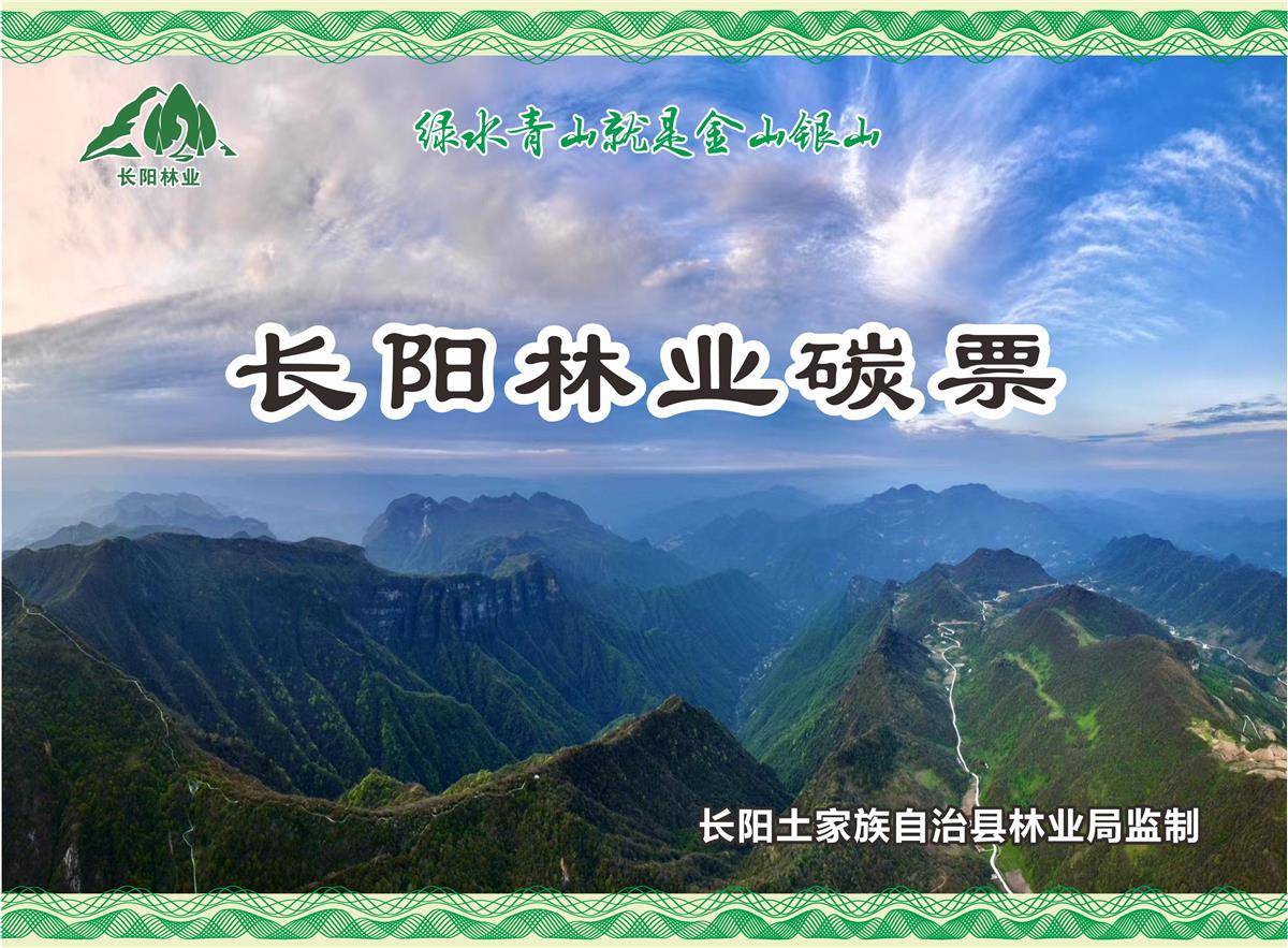 2024年5月，长阳土家族自治县制发湖北省首长林业碳票。（长阳林业局供图）