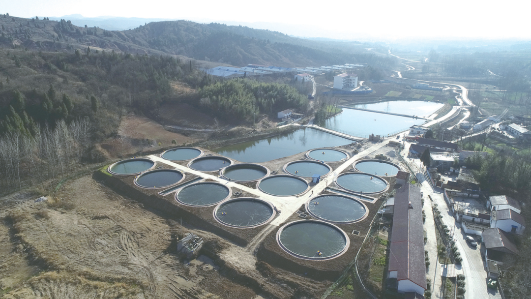 丹江口市高低位生态水产养殖专业合作社养殖基地（北京渔村生产基地）。.png