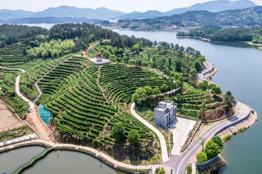 牛车河产业路_副本.jpg