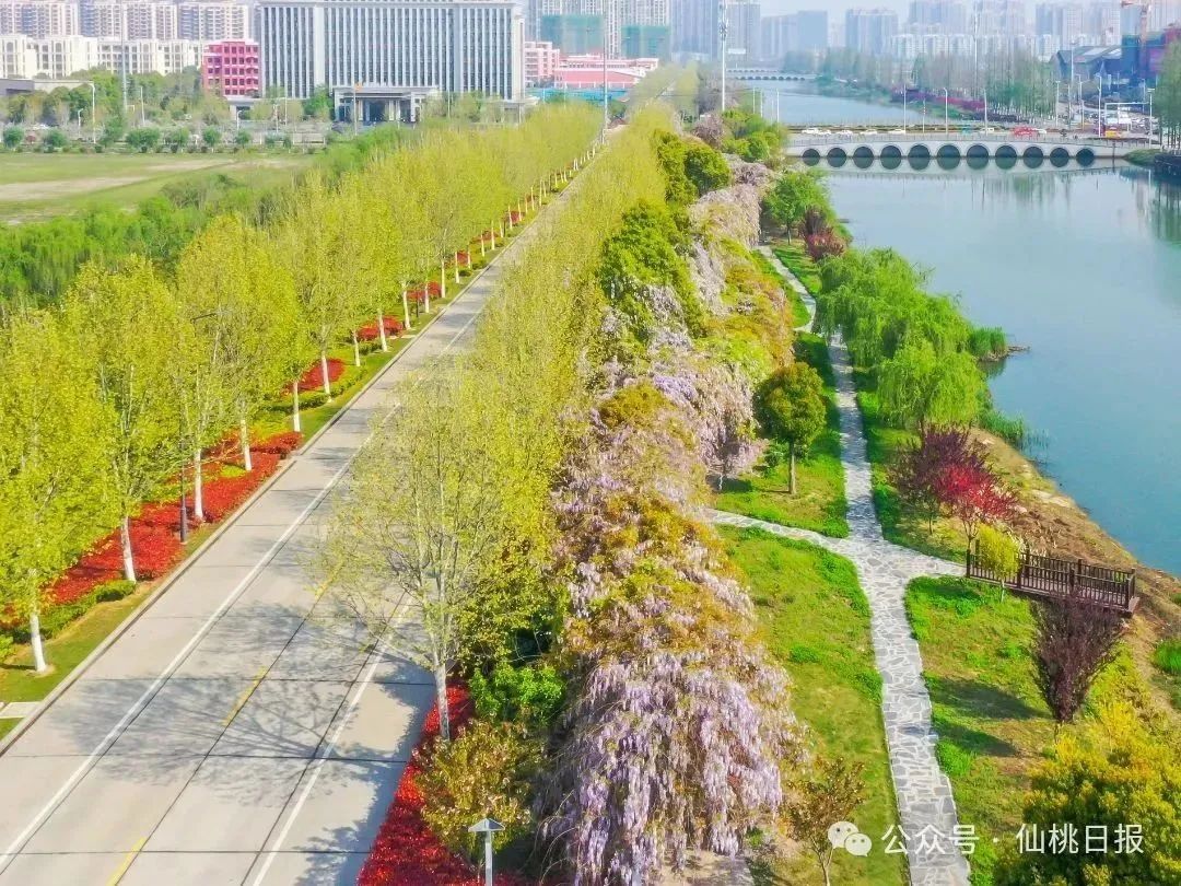 微信图片_20250528102318.jpg