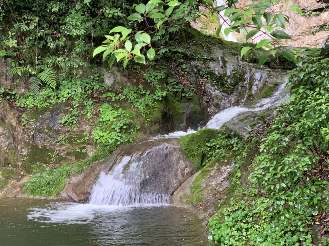 源头清波缓缓流过青石板。崔慧芬摄.jpg