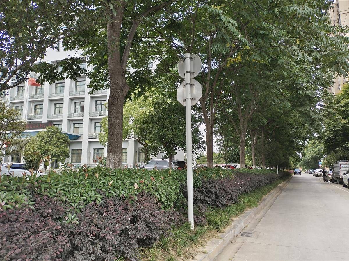 临街围墙已全部拆除.jpg