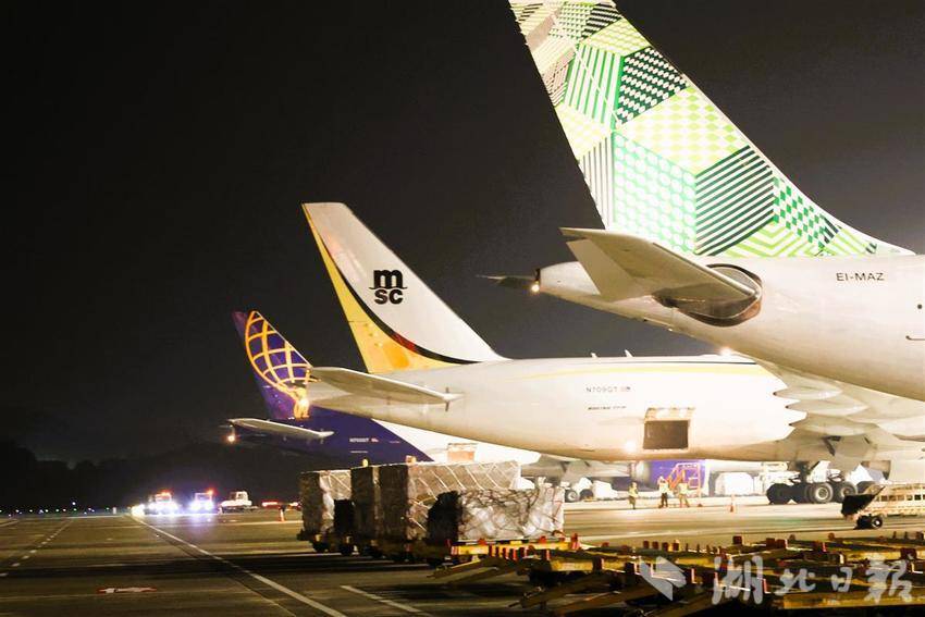 802A0393 - 副本.JPG