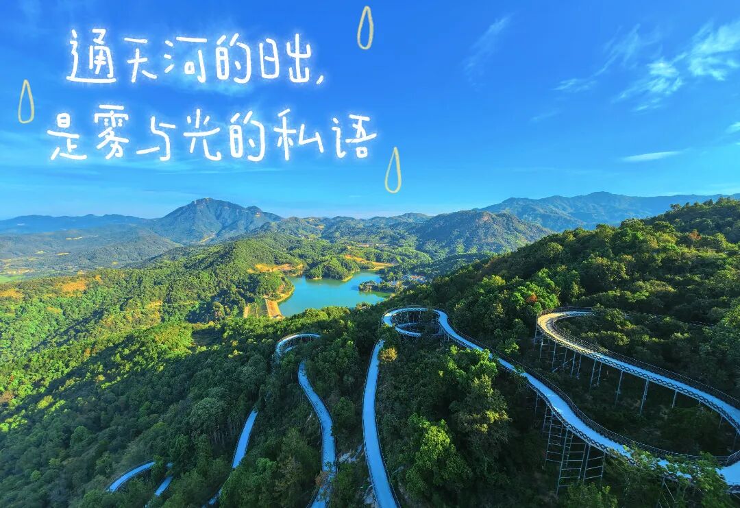undefined 图片