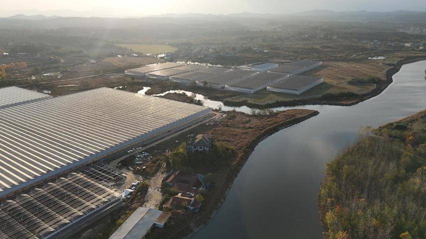 红安“中彩”动能澎湃,助力“三产融合”.docx