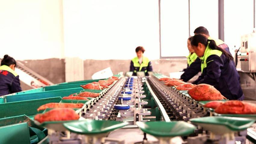 红安“中彩”动能澎湃,助力“三产融合”.docx