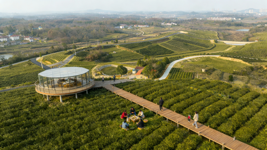 红安“中彩”动能澎湃,助力“三产融合”.docx