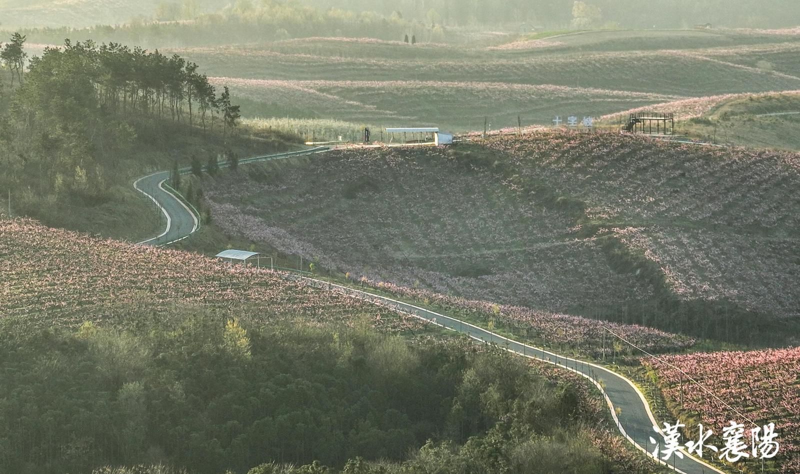 ▲枣阳市白龙线公路
