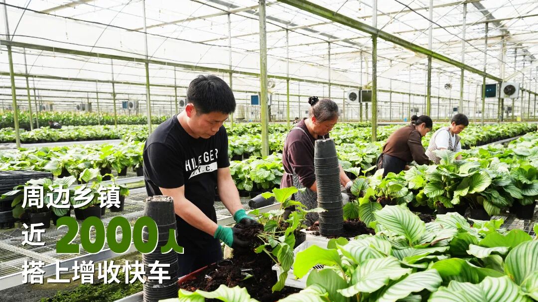 2021年6月5日，在湖北荆门圣境山上，风力发电。 (9).jpg