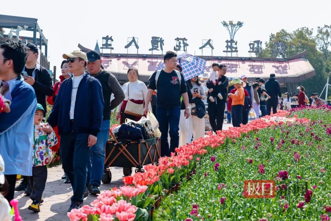 CHM_6112.jpg CHM_6112.jpg