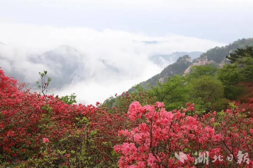 (0326改)麻城,向上!.docx