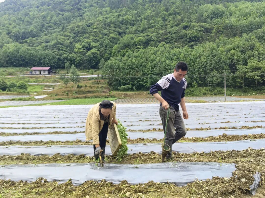微信图片_20260522100327_263_24.jpg 微信图片_20260522100327_263_24.jpg
