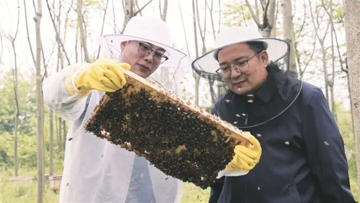 伍华珺(左)和刘云(右)在进行技术交流。 伍华珺(左)和刘云(右)在进行技术交流。
