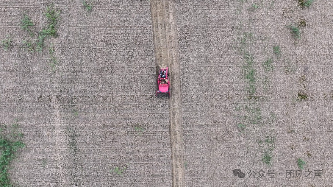 DJI_20260521092432_0109_D.MP4_20260522_163638.529.jpg