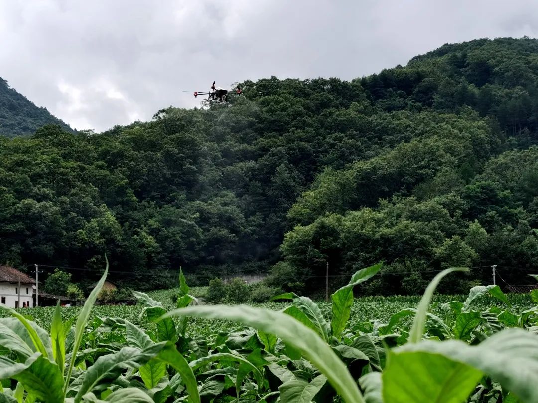 曹诗勇 简历兴山图片