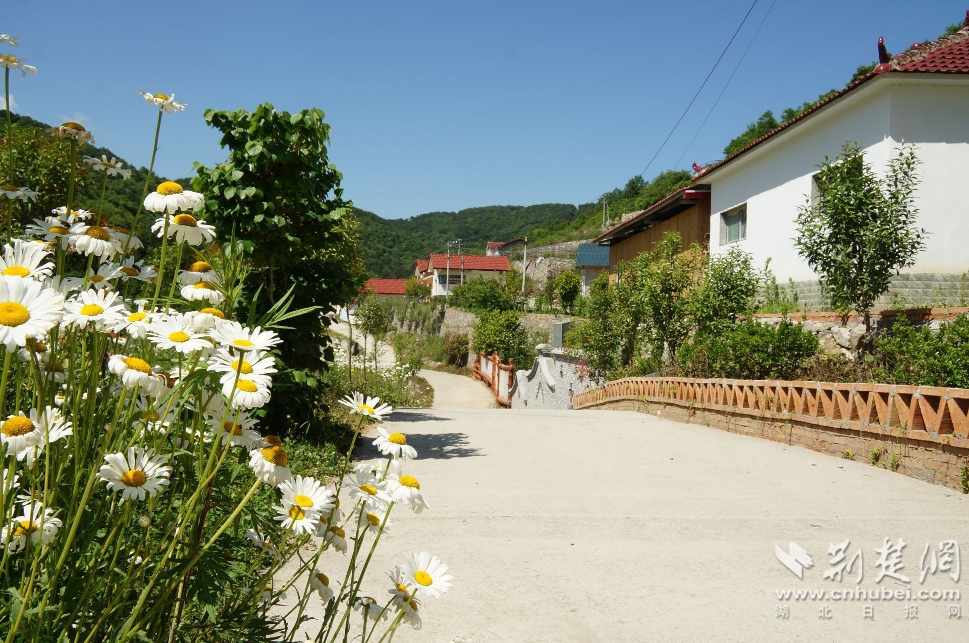 政府答题代表阅卷兴山县榛子乡开展重点工作和民生实事专项视察