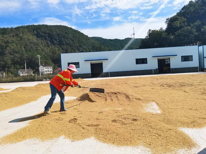 抢抓晴好天气