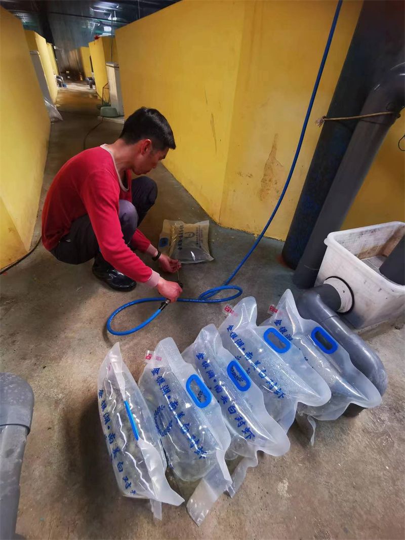 南美白对虾保鲜包装。武汉市东西湖区融媒体中心供图