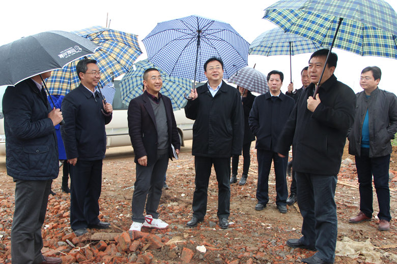 孙兵来沙洋县督导荆沙四化同步示范带项目建设