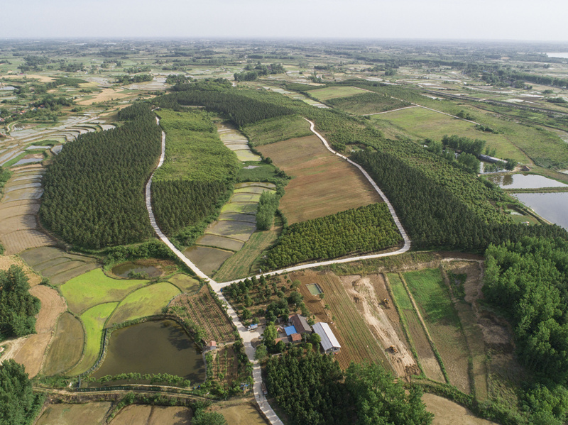 省市媒体看沙洋沙洋曾集镇四好农村路铺就村民的幸福路