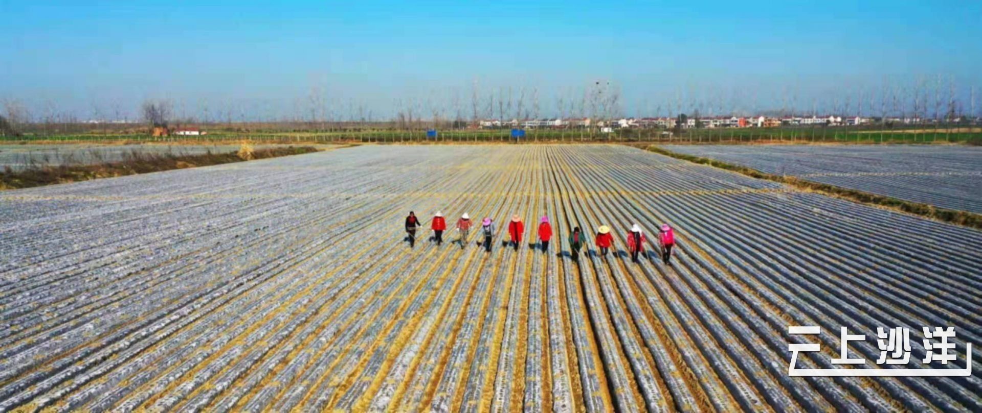 培育壮大农民合作社和家庭农场经过不断培育,沙洋县经工商注册登记的