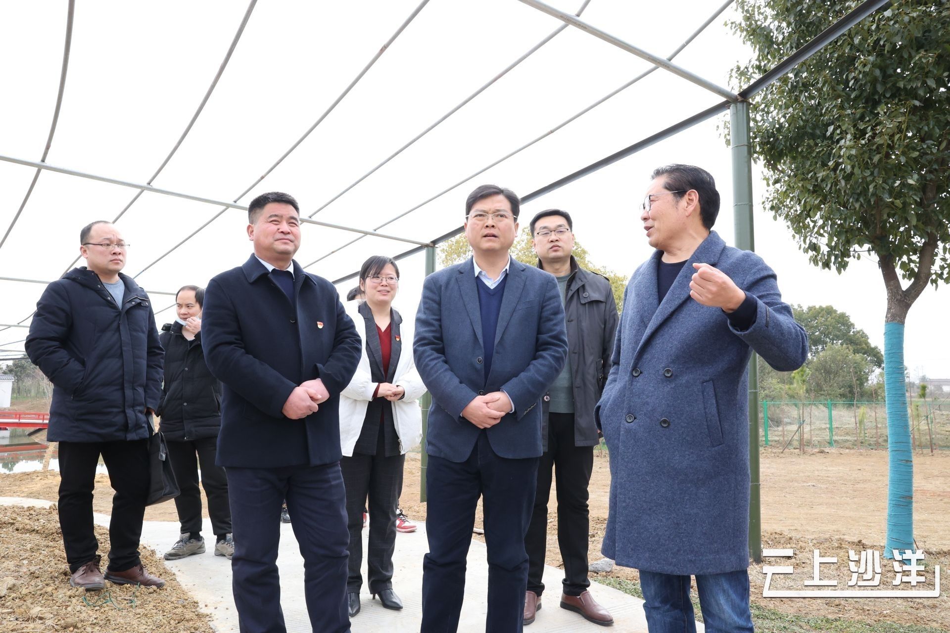 陈威在曾集镇调研乡村产业发展,油菜花旅游节筹备等工作_云上沙洋