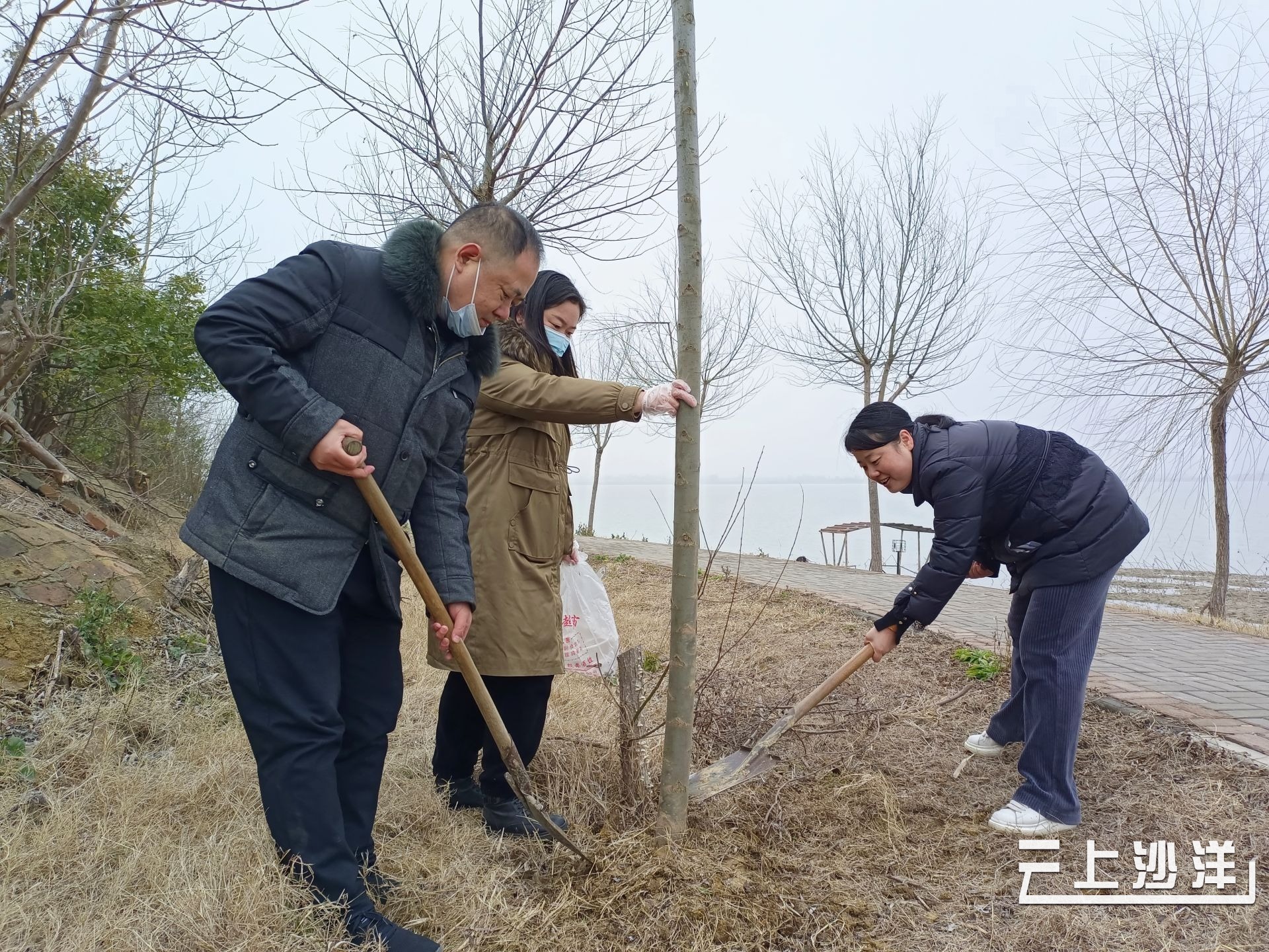 沙洋县毛李镇开展春季义务植树活动为乡村添新绿