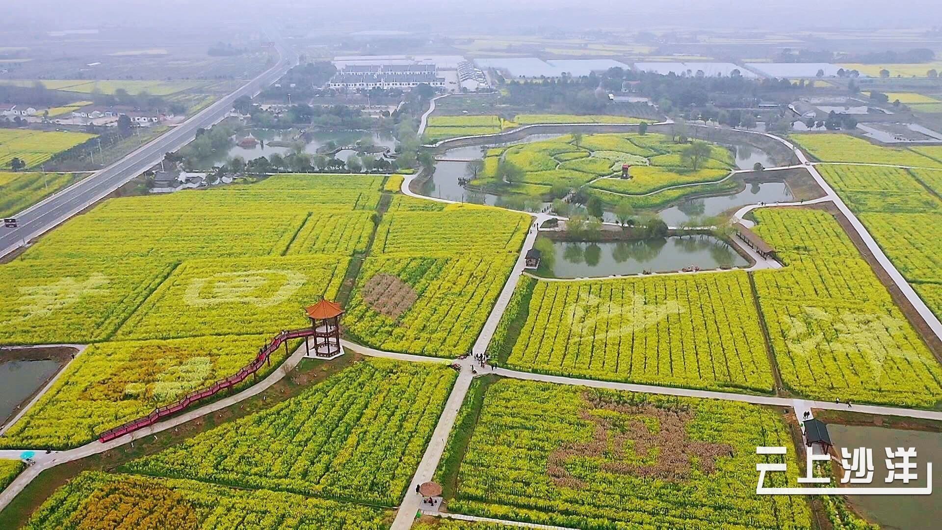 沙洋:三月春光好 花开待客来_长江云 - 湖北网络广播电视台官方网站